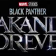 Illustration for article titled Hop in MCU Lovers, We’re Going-Going, Back-Back to Wakanda